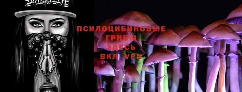 Псилоцибиновые грибы Magic Shrooms  закладка  Шадринск 